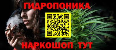твердый Гусев