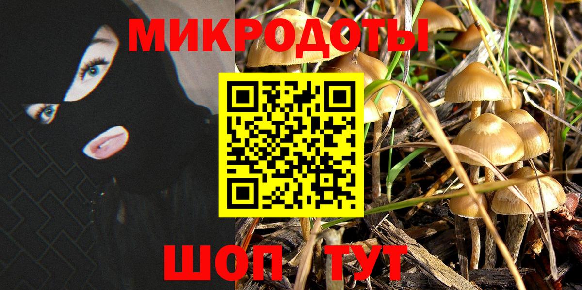 Галлюциногенные грибы Psilocybe  Вход с VPN  Лабытнанги 