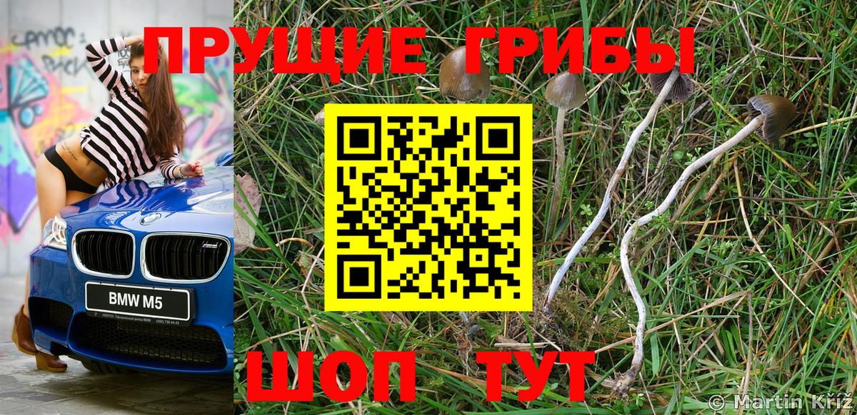 Псилоцибиновые грибы GOLDEN TEACHER Лабытнанги